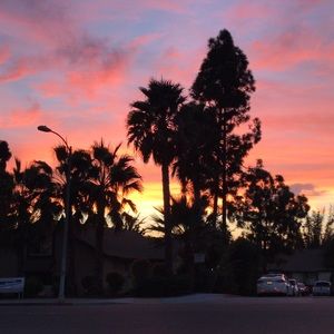 Meet your Posher, Valerie